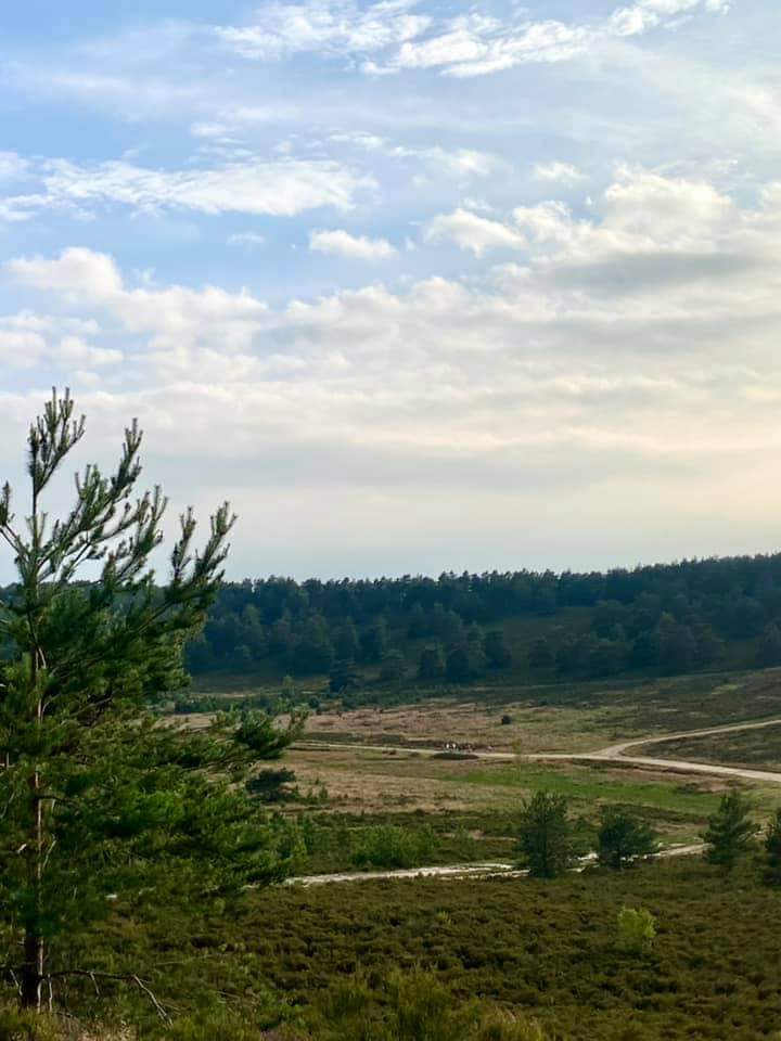 A fabulous away run last night to the amazing Hankley Common followed by delicious food at @redmistleisure Duke of Cambridge in Tilford! Fun times! 
#farnhamtownrunningclub #FTRC #runningclub #ukrunning #ukrunchat #runnersofinstagram