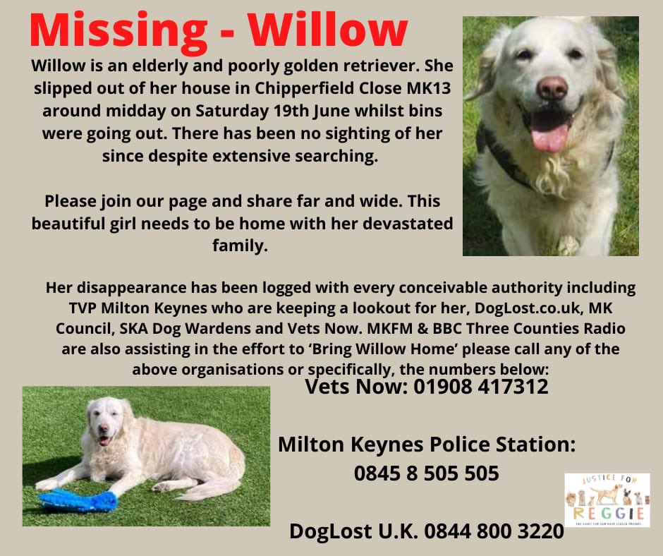 JusticeforRegg1's tweet photo. Please #retweet and help us #find
#dogs #dogsoftwitter #dogsofinstagram #dogsarelove #dogslife #dogsislife https://t.co/uNjVSq8ArL