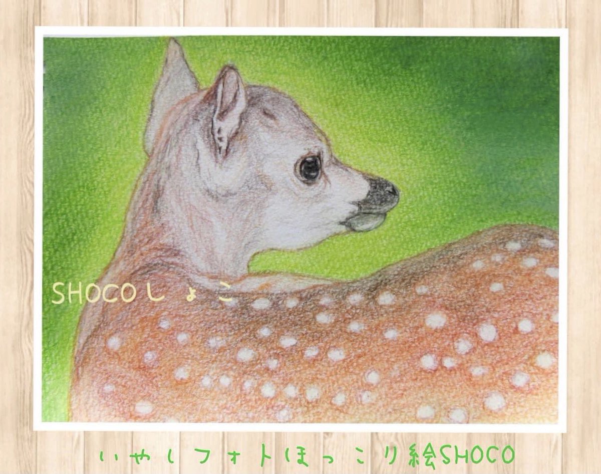 Twoucan 野生動物 の注目ツイート イラスト マンガ コスプレ モデル Twoucan 野生動物 の注目ツイート イラスト マンガ コスプレ モデル
