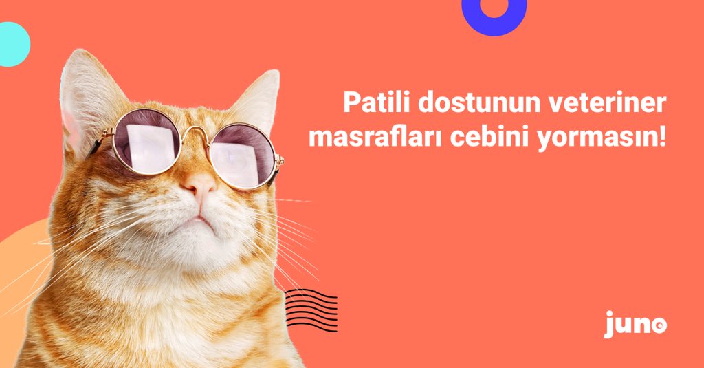 Junolu Hjunolu Twitter