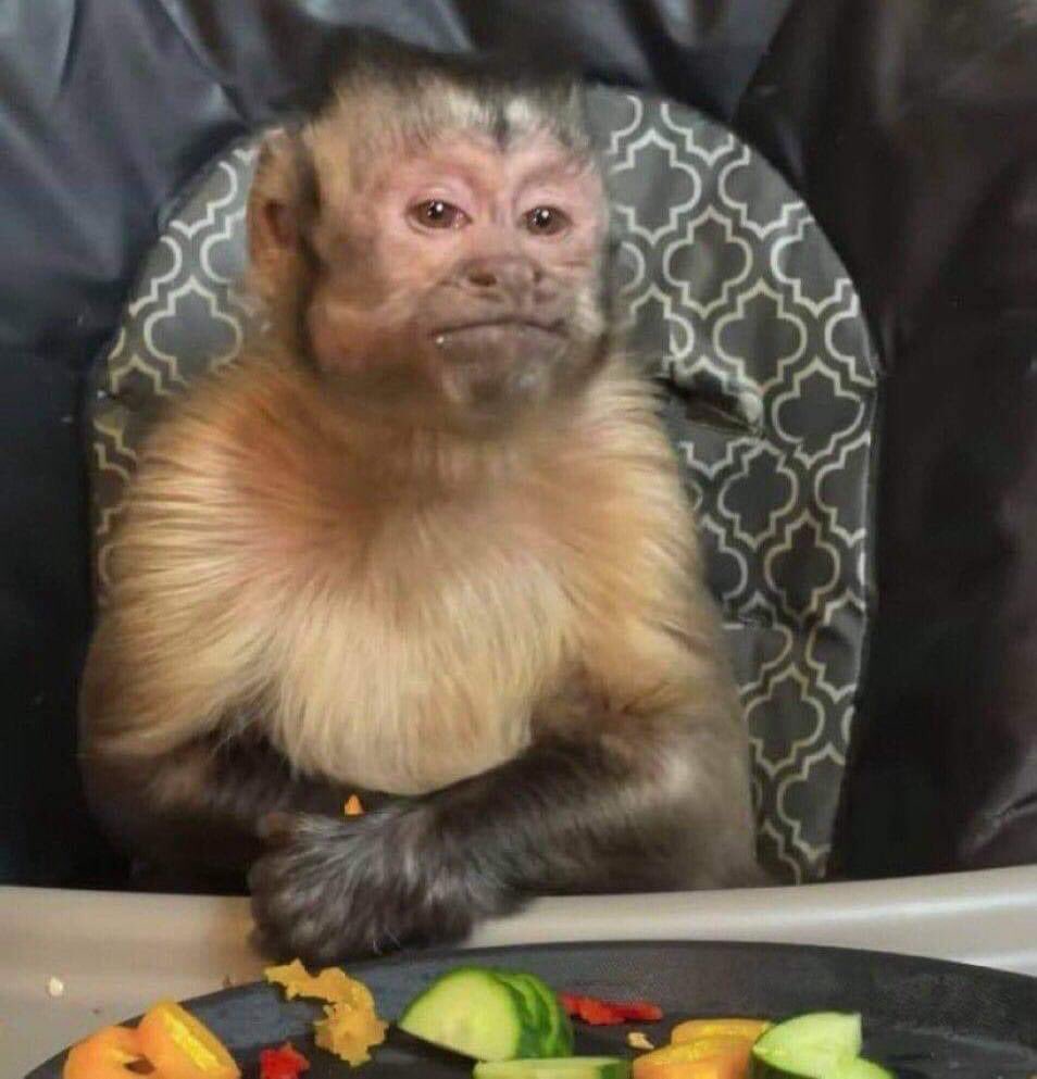 ElTioBuchon's tweet photo. Yo al darme cuenta que rompí la dieta por cuarta vez en el día. https://t.co/0nwbMO2H7J