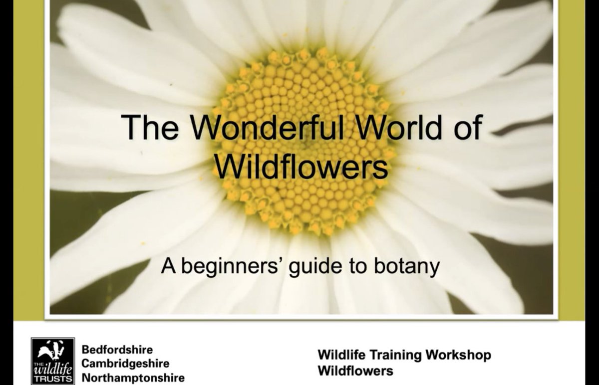 NewLifeOldWest's tweet photo. Last night we attended the @wildlifebcn Wildlife Training Workshop to learn more about 'The Wonderful World of Wildflowers'🌻 Now to put this into practice when we are out and about in the Old West! #NLOW https://t.co/20MJQxGXys
