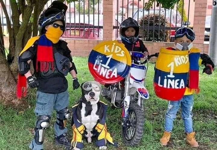 No tengo otra palabra además de VERGONZOSA, para calificar la instrumentalización de niños y animales en este tipo de situaciones.