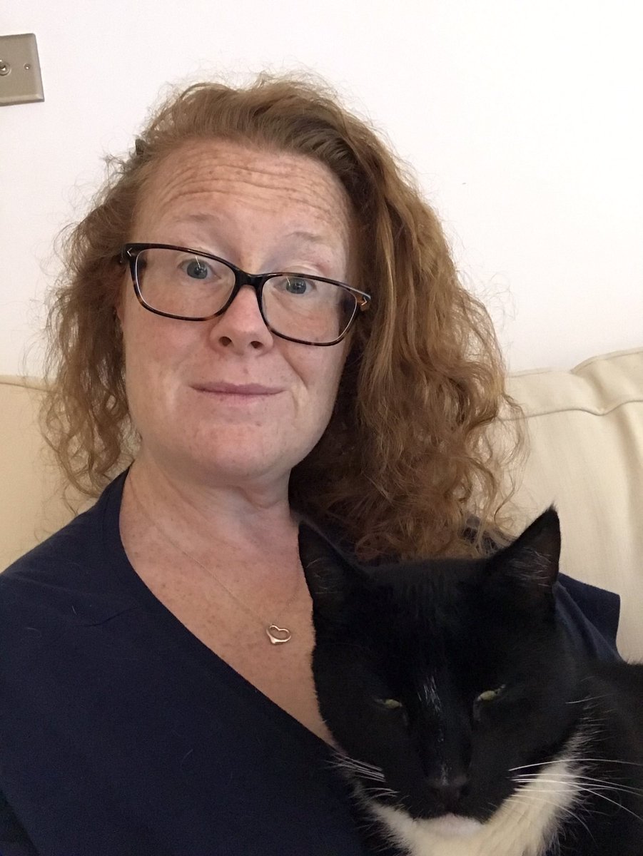 Kathryn O'Donnell tweet media