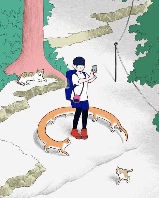 パノラマ猫 