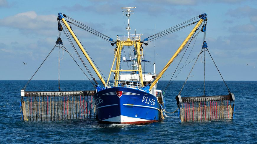 AssetTracePro's tweet photo. Aujourd'hui, 1 juillet 2021, entre en application l'interdiction totale de la pêche électrique en Europe. Cette méthode a transformé les mers en désert, elle a ravagé les écosystèmes. Merci à @Bloom_FR qui s'est battue sans relâche et aux euro-députés qui ont fait front 🙏🌊 https://t.co/MjnD88h0G6