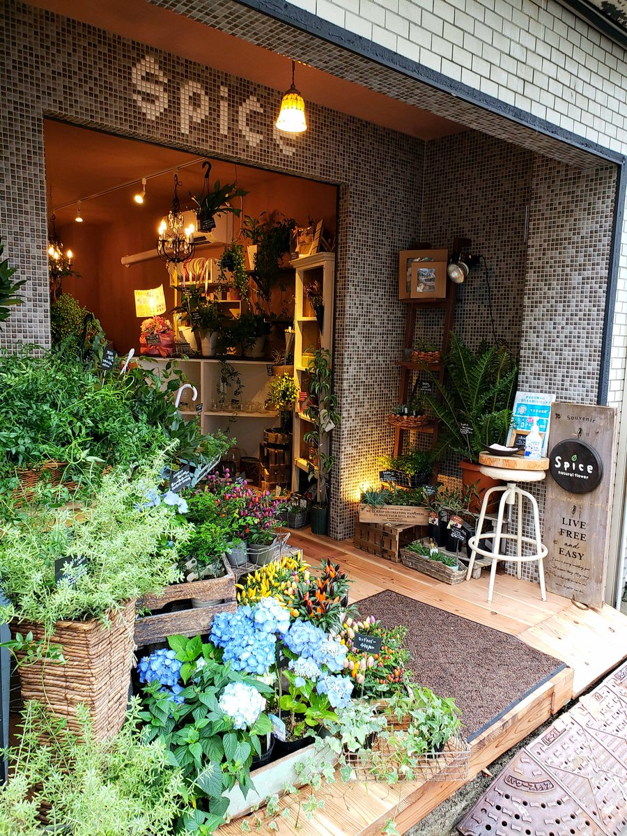 西小山編集室 Twitter Search 西小山編集室 Twitter Search