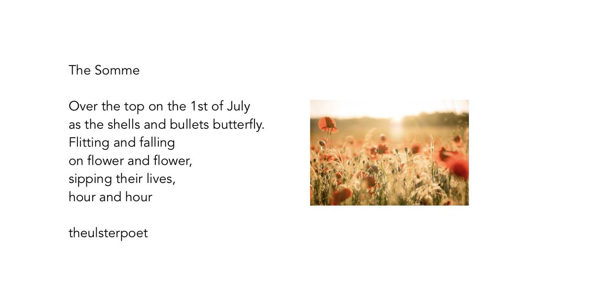 Ulsterpoet's tweet photo. @VETERANSCHARITY The Somme
#Somme #WW1 #ulsterdivision https://t.co/S9MweWdp0A