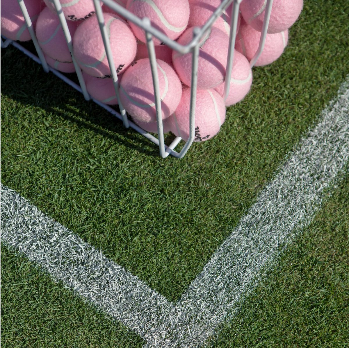 Who's Watching the Wonderfull Wimbledon this Week? 🎾