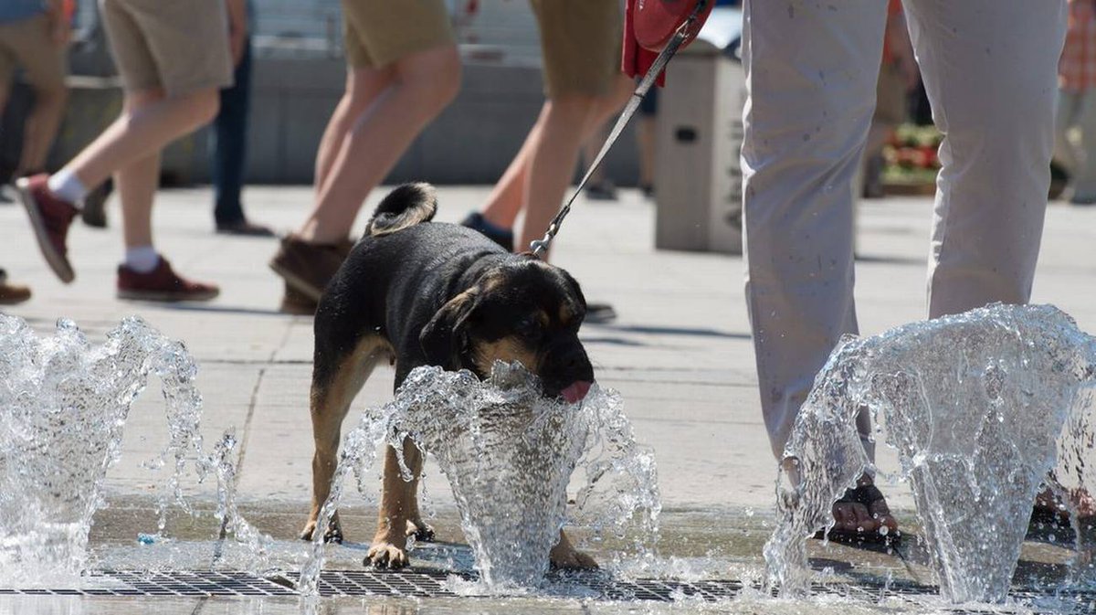 In #Canada ci sono 49,6°: ovunque nel mondo è emergenza #caldo
#CanadaHeatWave 
bit.ly/3qFKI5G