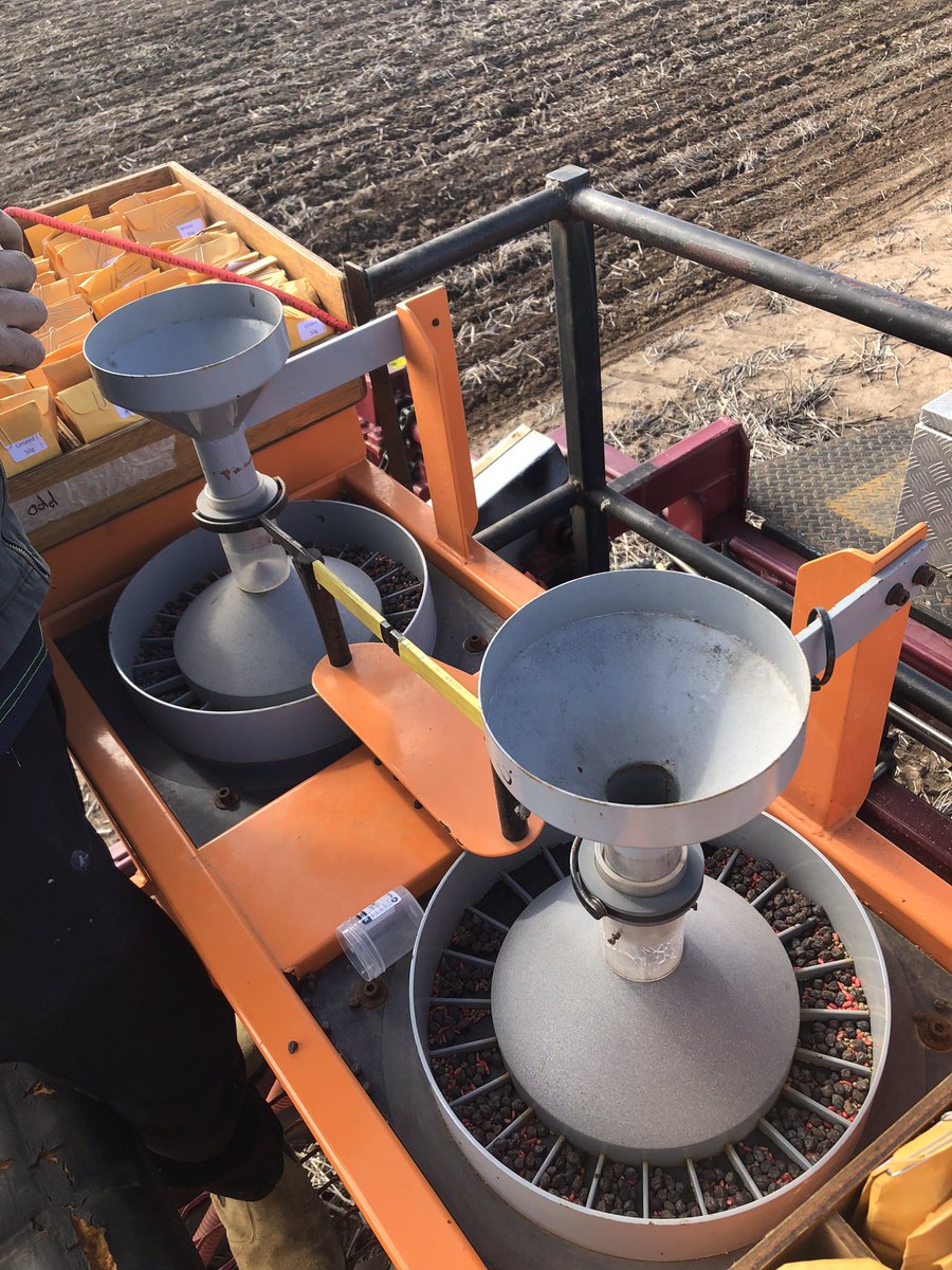 Finished planting for winter 2021 yesterday, companion cropped wheat and chickpea trial, main season comparison for summer planted chickpea trial and double cropped chickpea after summer sorghum in Higher intensity #FarmingSystemsNorth
Rain and 5G jab today.