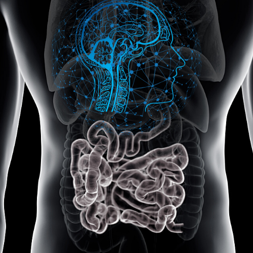 ¡#REINFORCE cumple un año! Orgullosos de participar en este proyecto cooperativo de #InteligenciaArtificial. <a href="/Naitec_CT/">NAITEC Centro Tecnológico</a> <a href="/unav/">Universidad de Navarra</a> <a href="/movalsys/">Movalsys SL</a> <a href="/eversens/">jirayoo wongchaya</a> <a href="/GrupoALDAKIN/">GRUPO ALDAKIN</a> <a href="/gob_na/">Gobierno de Navarra</a> en la convocatoria Ayudas para realización de Proyectos Estratégicos de I+D 2020-2022.#Cáncer #Toxicidad