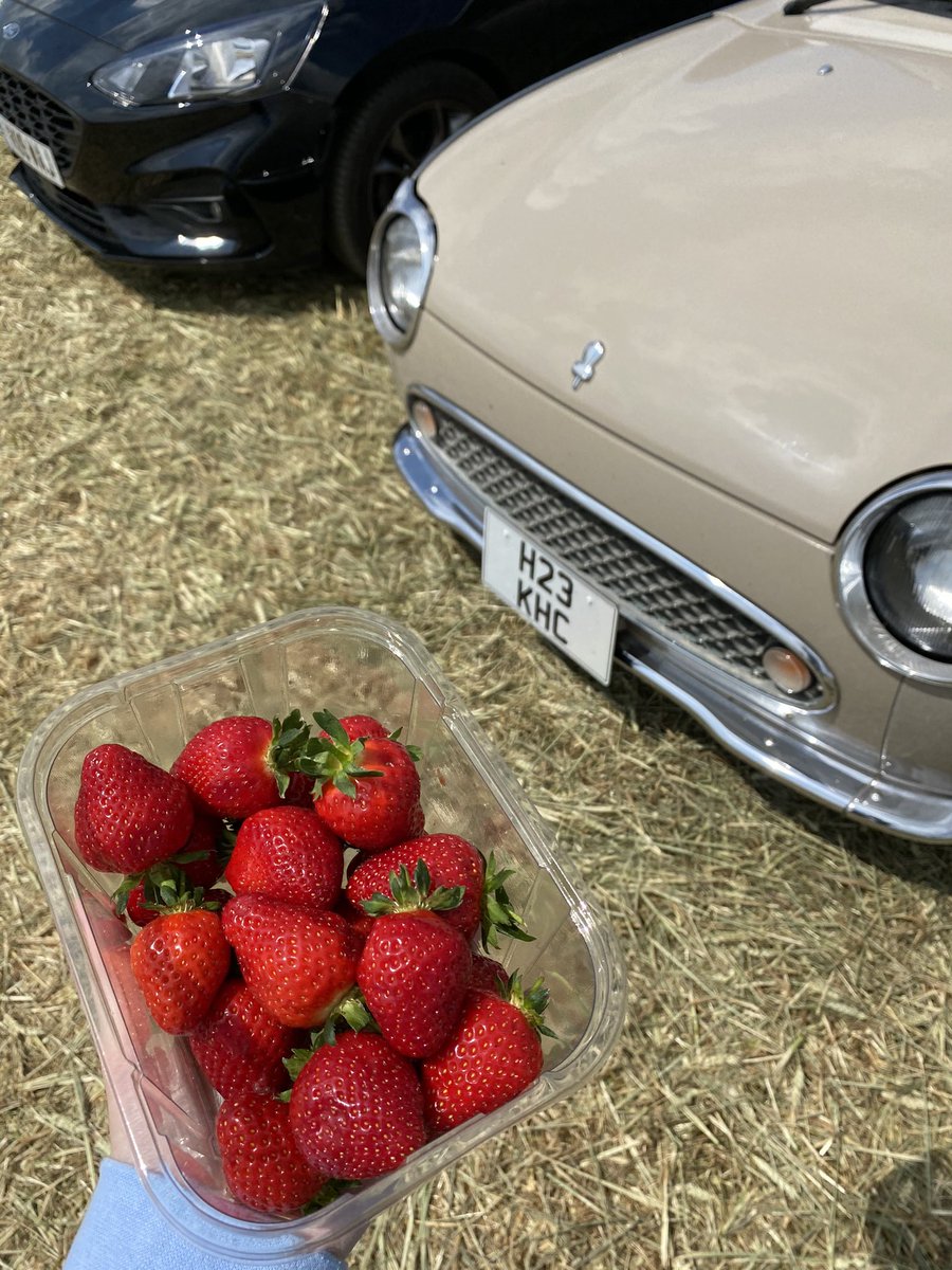 Freddie & Bim tweet media