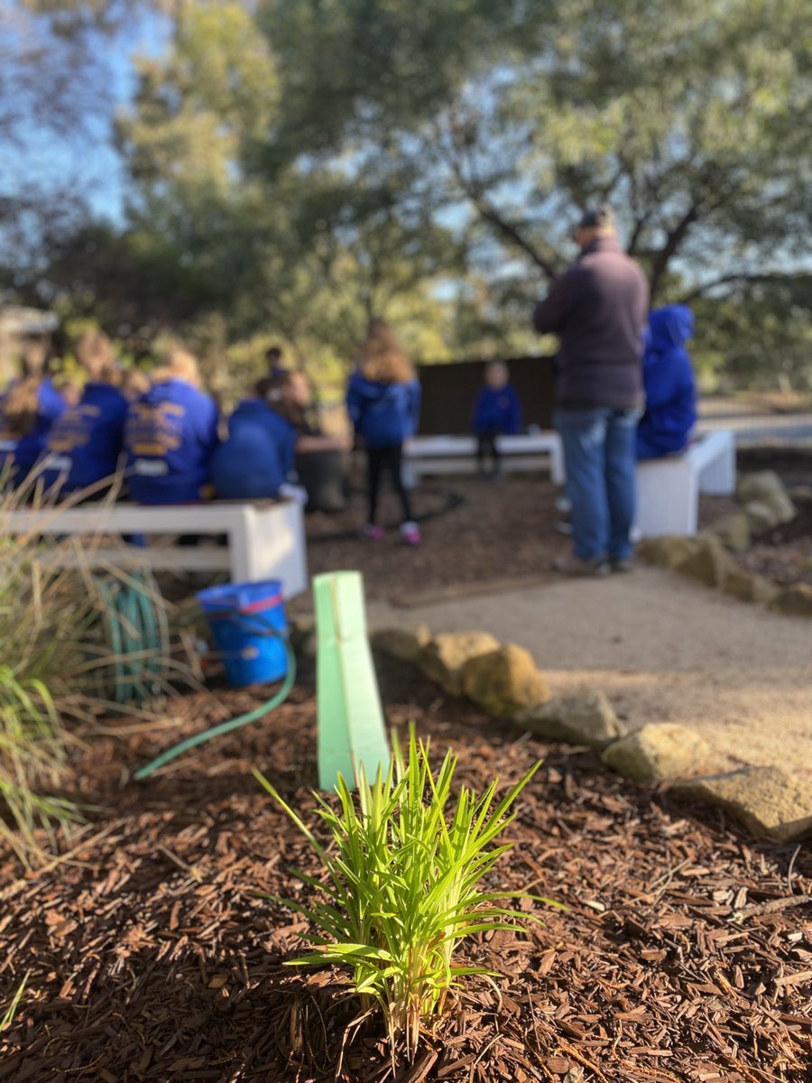 ProjReimaginate's tweet photo. @jollygood19 @edu_sagov @JohnGardnerMP No one is coming to save us, PJ. We have to do this work ourselves. Community building is one of our most important jobs. https://t.co/SqRAJH1uB7