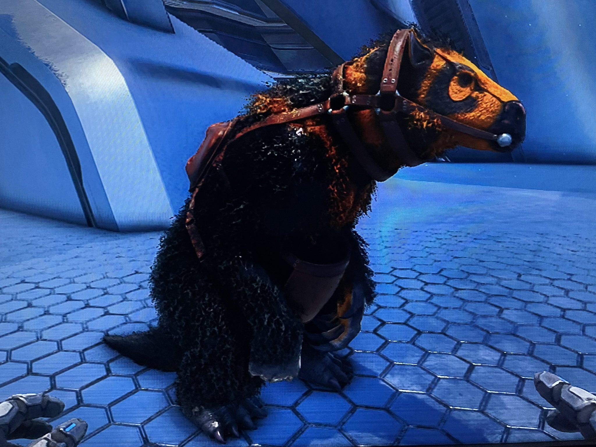 筋肉ダルマ Ark R種 メガテリウム イベカラではないけど Rメガテリウムテイムした T Co Sdbg6oucyl Twitter