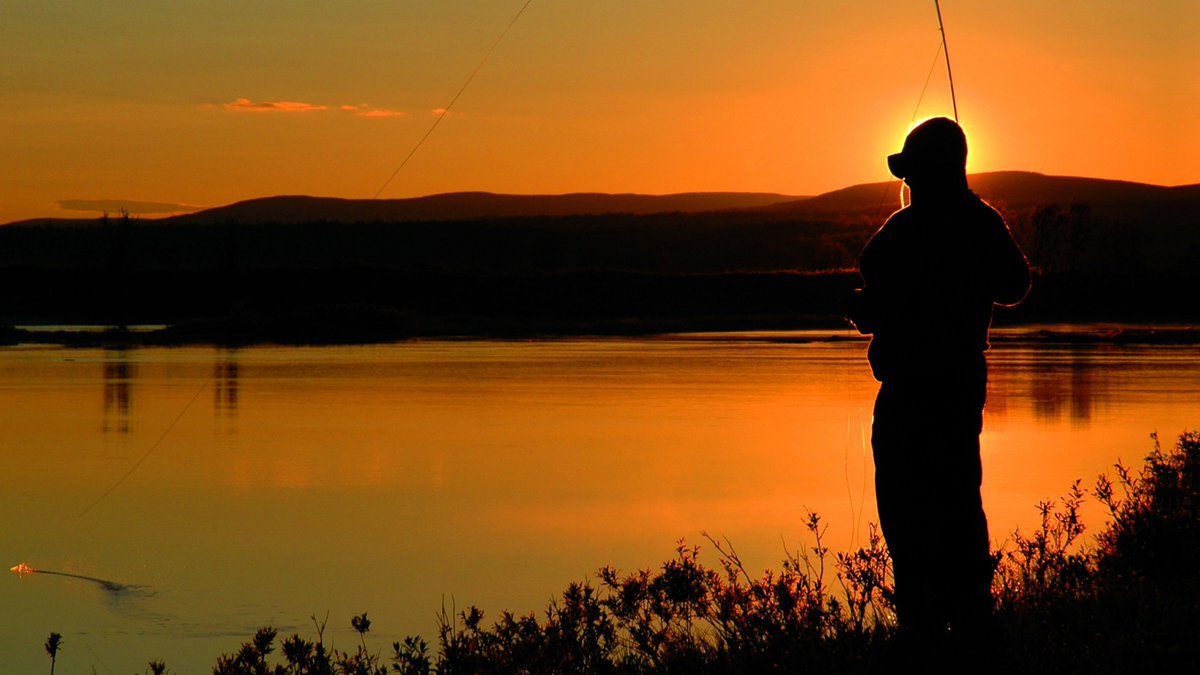 DiscoverFinland's tweet photo. The unique geography of Finland makes it one of the finest fishing destinations in the world. Within Finnish waters there are 67 species of fish, thriving in pristine waters, surrounded by some of the most beautiful and peaceful landscapes in Europe: https://t.co/1jz5BN9Sef https://t.co/n9DPI4Gu2Q