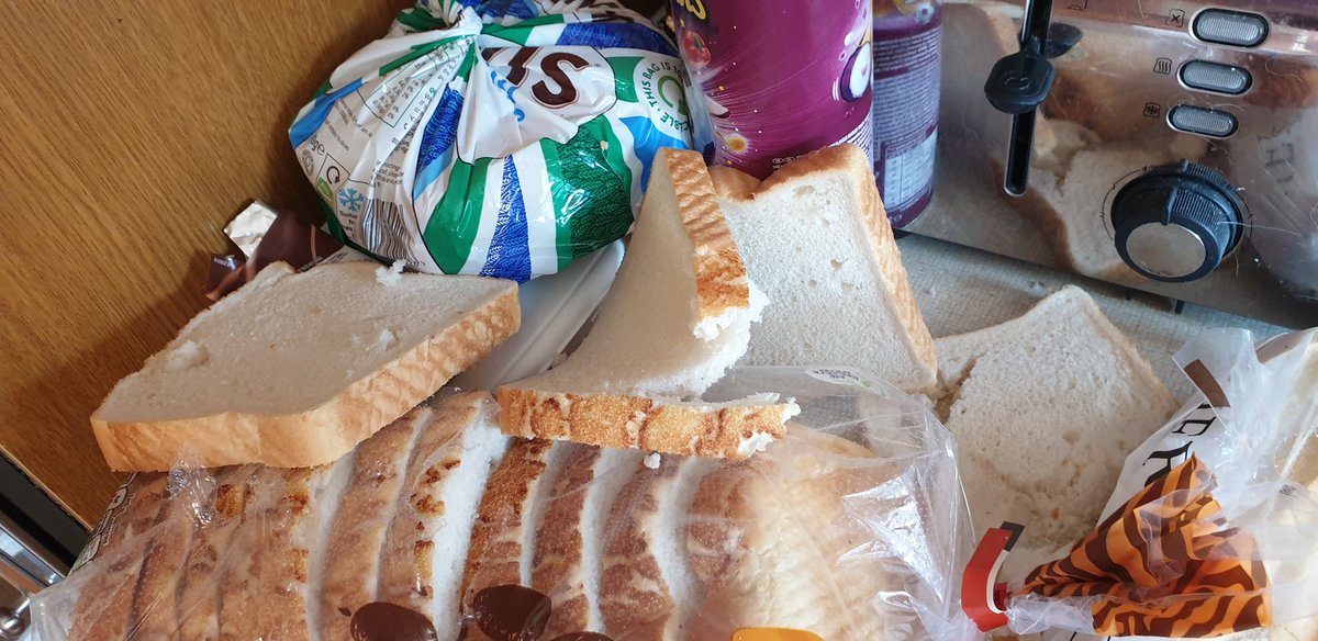 Sarah_A_Author's tweet photo. The cat got the bread! She broke into a brand new loaf and helped herself to several slices! 
I'm actually very happy because she hasn't eaten since her op. 
It is a bit scary what an appetite enhancer can do!
#tigerloaf https://t.co/H1uCLIA7FY