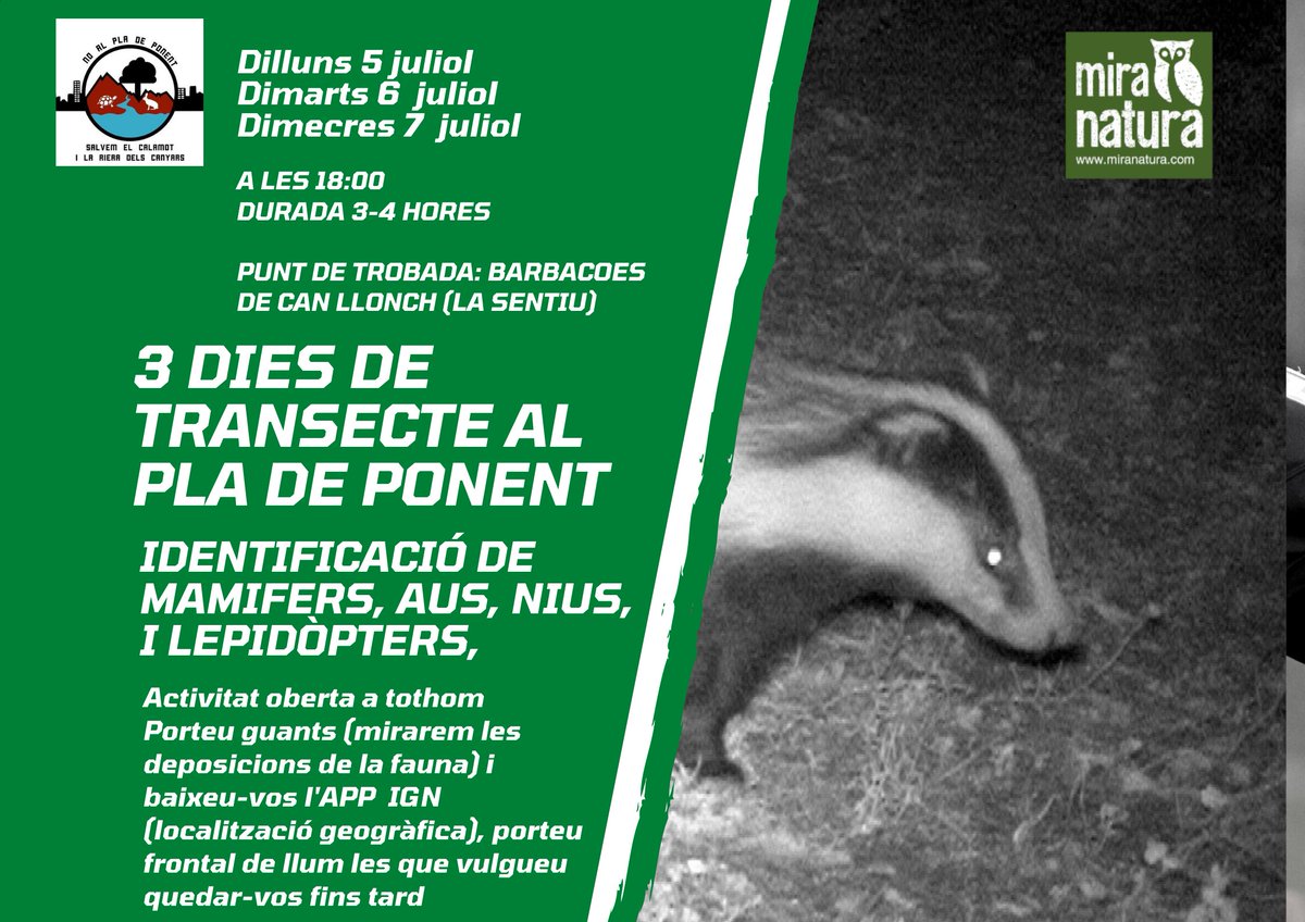 ‼️ACTIVITAT d'identificació de mamífers, aus, nius i lepidòpters al pla de ponent‼️

Dilluns 5 de juliol
Dimarts 6 de juliol
Dimecres 6 de juliol

⏱18:00 (Durada aproximada 3 o 4 hores)
📍Barbacoes de Can LLonch

Activitat oberta a tothom

#AturemElPladePonent