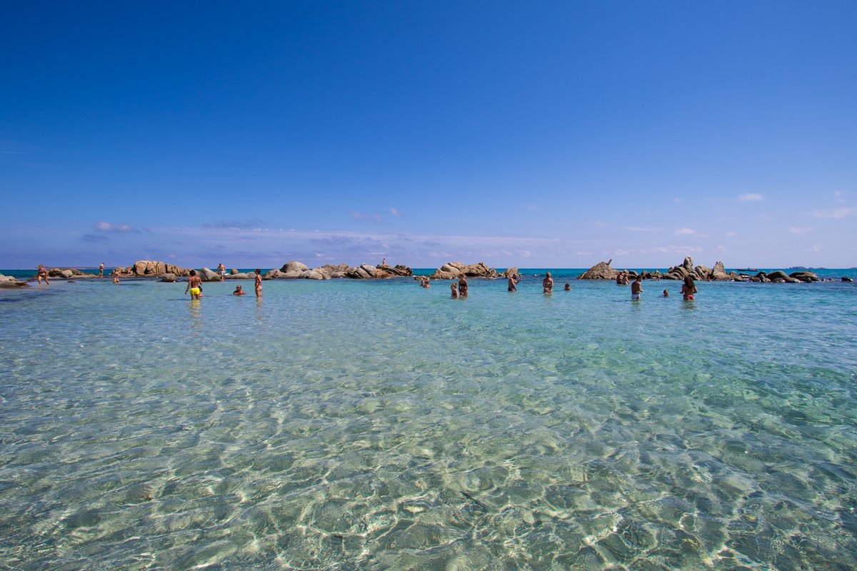 #Sabbia bianca, un #mare cristallino dove nuotare tra i #pesci😍🐠, uno stagno coi #fenicotteri alle spalle 🦩 ed un bellissimo punto panoramico nelle vicinanze. 🥰 La #spiaggia di Porto Giunco nel nuovo post dedicato alla #Sardegna del Sud: assaggidiviaggio.it/2021/06/sardeg… #sardinia