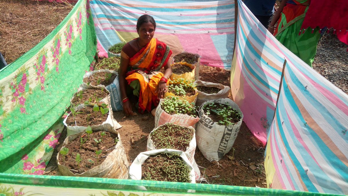 harshatrust's tweet photo. #Mo_Upakari_Bagicha program benefited the #Vulnerables in the midst of #Covid19. The infused information &amp; knowledge of nutrition among the women have rolled high turnout at #MamataDivas. #Womenfarmers #Livelihood #EmpoweringWomen #Odisha_Livelihoods_Mission #AzimPremjiFoundation https://t.co/aM0I3w9ds8