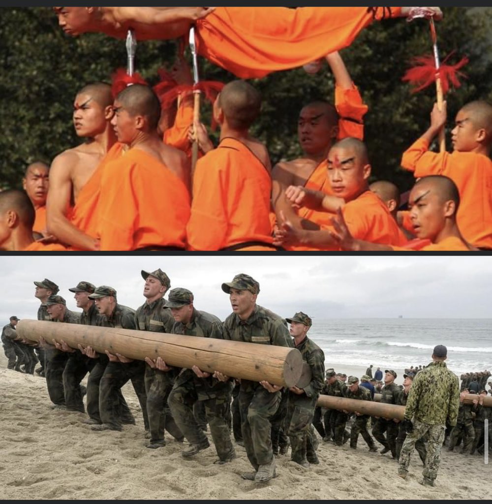 WhoWouldWin13's tweet image. 5 #ShaolinMonk’s

VS

5 #NavySeals

R1. Hand to hand 👊🏽
R2. Melee weapons🔫🔪🗡🏹

Who wins, and why?

#whowouldwin #deathbattle #SHPOLL21