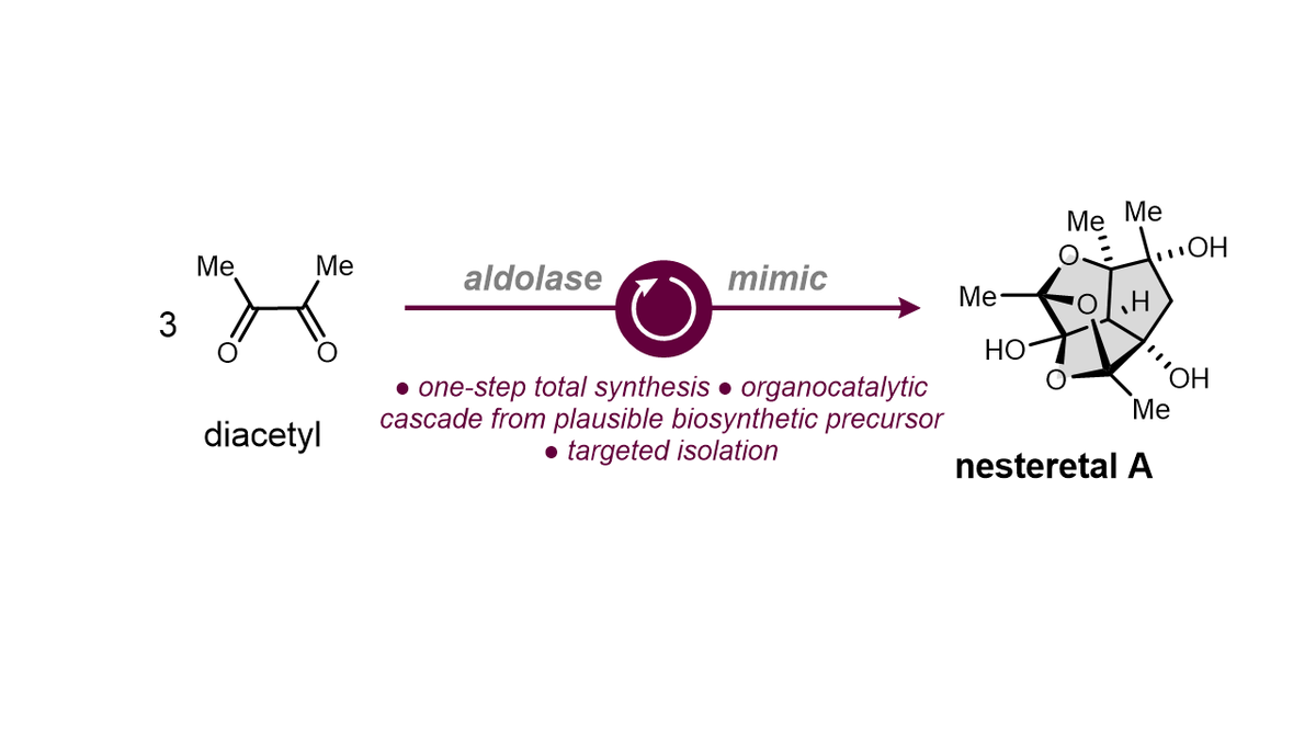 Mehdi Beniddir (@beniddirm) on Twitter photo Have you ever dreamt of One-step total synthesis of a NP: have a look to our recently published artilce <a href="/ChemRxiv/">ChemRxiv</a> on the Total Synthesis of Nesteretal A with <a href="/Axel_Lebld/">Axel Leblond</a> <a href="/ines_houari_/">Inès Houari</a> <a href="/erwan_poupon/">Erwan Poupon</a> <a href="/BioCIS/">BioCIS</a> doi.org/10.33774/chemr… Have you ever dreamt of One-step total synthesis of a NP: have a look to our recently published artilce <a href="/ChemRxiv/">ChemRxiv</a> on the Total Synthesis of Nesteretal A with <a href="/Axel_Lebld/">Axel Leblond</a> <a href="/ines_houari_/">Inès Houari</a> <a href="/erwan_poupon/">Erwan Poupon</a> <a href="/BioCIS/">BioCIS</a> doi.org/10.33774/chemr…