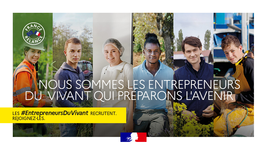 Agri_Gouv's tweet photo. Ces 6 visages sont ceux de notre avenir.  Ceux des amoureux de nos #territoires qui mettent toute leur énergie pour construire notre futur. Découvrez les #EntrepreneursDuVivant au service de notre souveraineté alimentaire 🇫🇷   
👉 https://t.co/hp9FsaJoq2
#FranceRelance https://t.co/lTF917TsU1