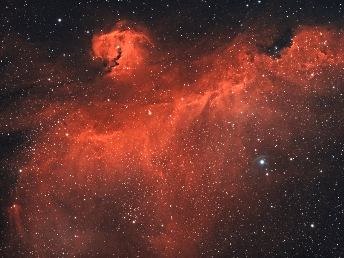 MR_IR_AP's tweet photo. The Seagull Nebula (bicolor) #nebula #seagull #bicolor #emissionnebula #deepsky #deepskyobject #Astrophotography #astrophoto2021 #astronomy #universe #astronomia #amateurastronomy #space #zwo #zwoasi #asi1600mm #skywatcher #ed80 #heq5pro #slovakia #zilina #slovensko https://t.co/L80OZSOhGm