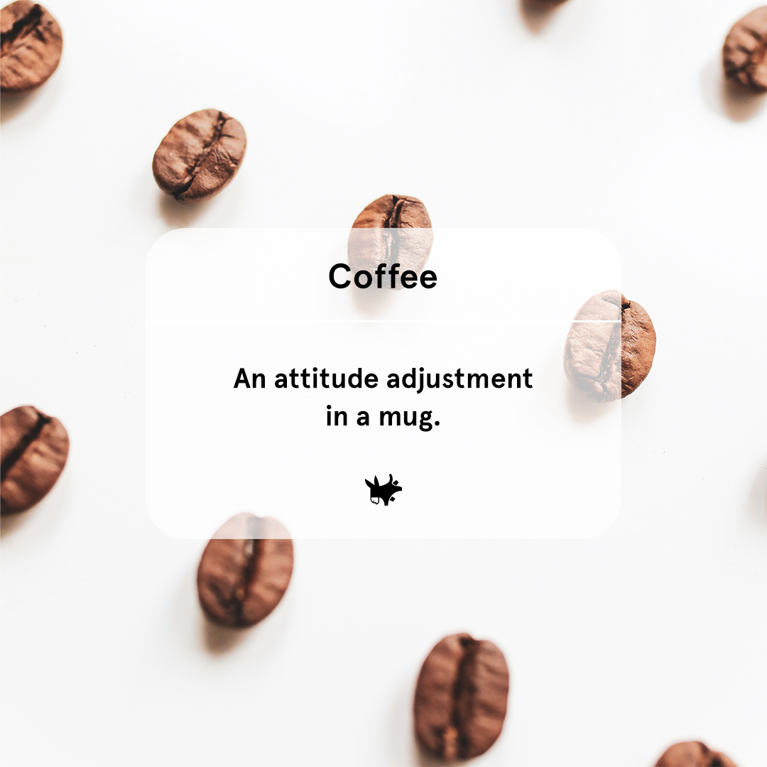 It’s true! A good cup of Grumpy Mule coffee can turn you from Grumpy, to, well… Grumpy? But in a good way.