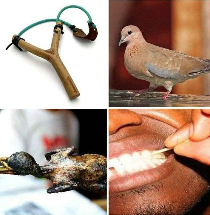 Kiaxkili's tweet image. Retweet if you once did this.