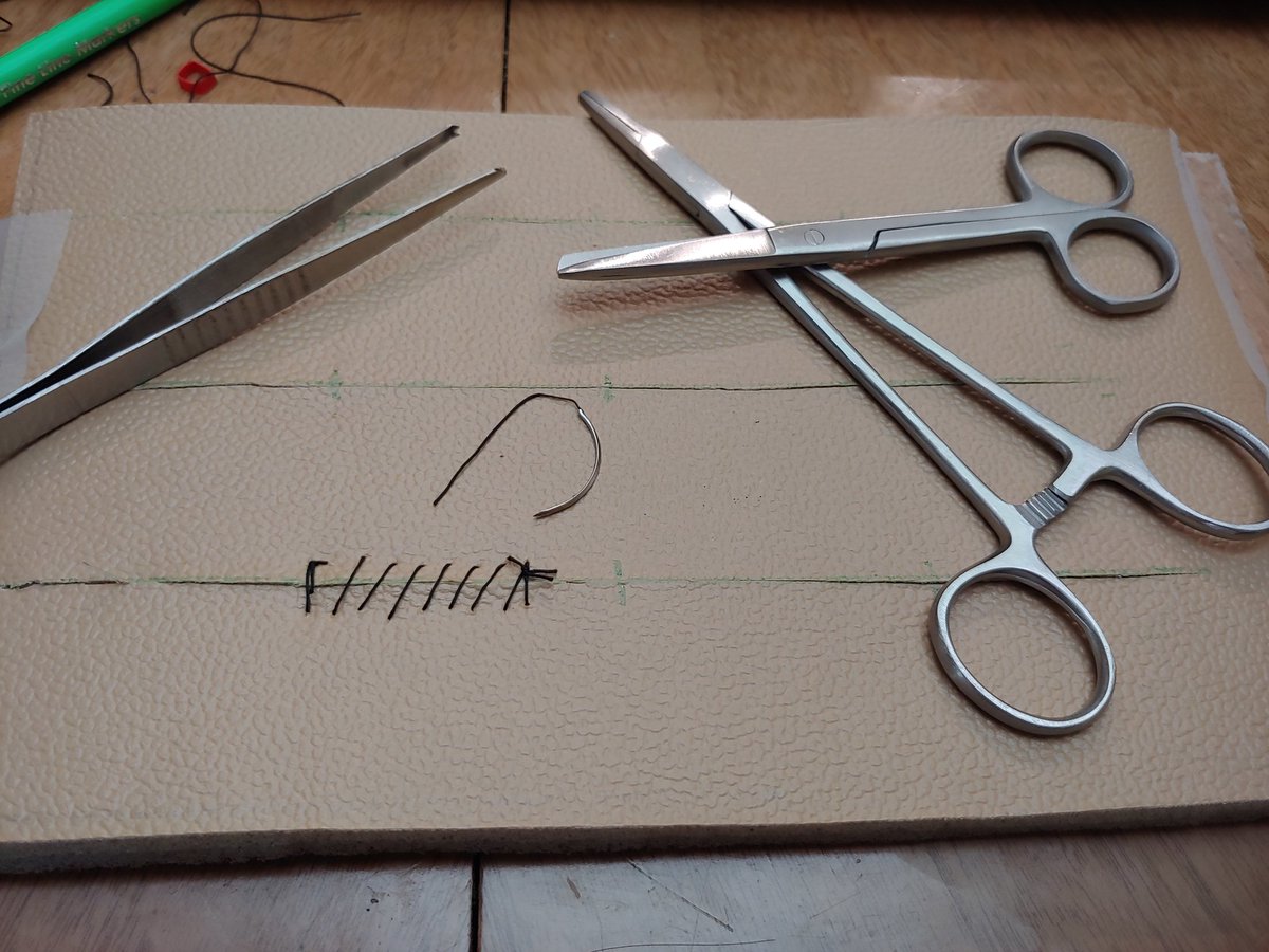 Dr. Rachel Becknell tweet media