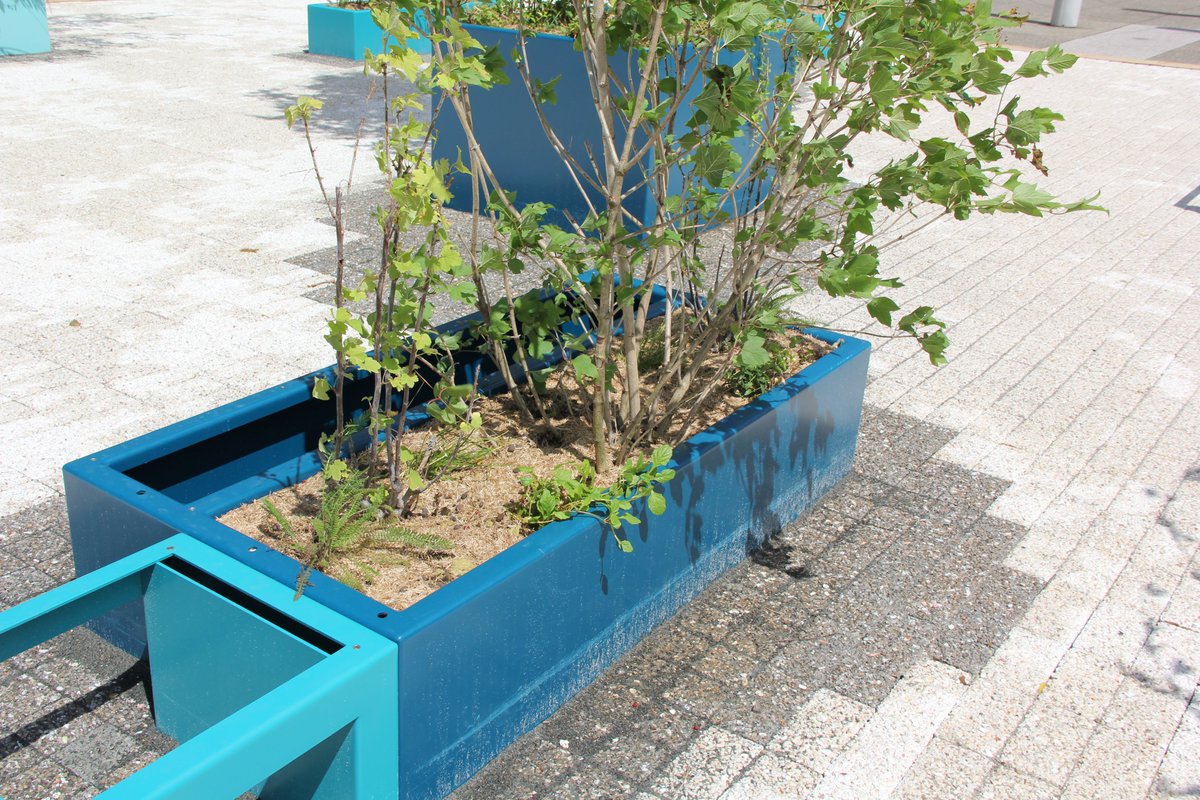 efficacity_lab's tweet photo. Le dispositif de rafraîchissement urbain proposé par @Seureca en partenariat avec @AlkernFR &amp; Vertuo est composé d’une estrade pavée de 200 m² posée au sol et de plusieurs solutions de rafraîchissement basées sur la végétation elle-même. https://t.co/lFnqkKb6N4