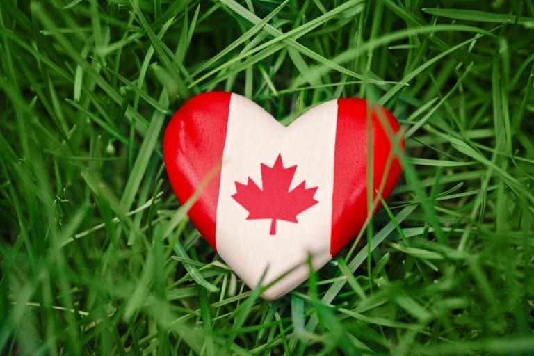 CommunityFound4's tweet image. Happy Canada Day!

Our office is closed but will reopen, Monday July 5th at 9am.