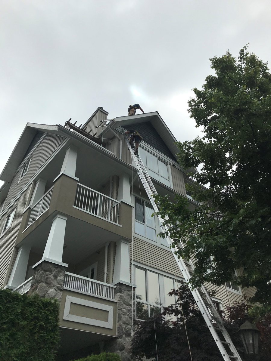 SolutionsHumane's tweet image. Did you know we um... *gulp*... have a 42-foot ladder? Not everyone has the budget to rent an aerial lift for a quick fix up high, luckily we have a couple of nutcases on the team that practically wait for the chance to get on the old aluminum noodle.