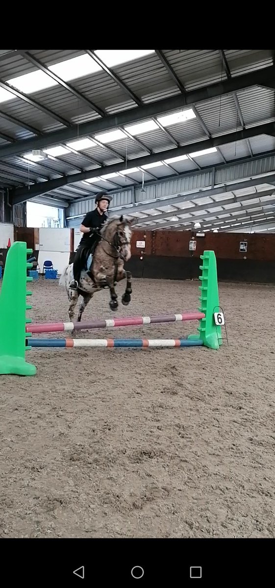 Penny__Ralph's tweet photo. What a lovely last week of college with the @cravencollege equine students enjoying "bring your own horse" for the day. So lovely to meet their horses 🐎🙂 #horseriding #endofterm https://t.co/ukv1C97Sqy
