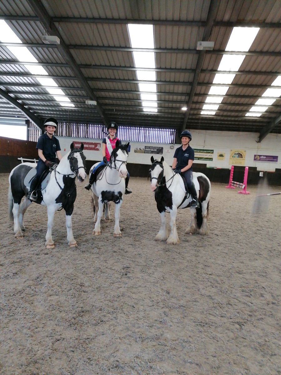 Penny__Ralph's tweet photo. What a lovely last week of college with the @cravencollege equine students enjoying "bring your own horse" for the day. So lovely to meet their horses 🐎🙂 #horseriding #endofterm https://t.co/ukv1C97Sqy