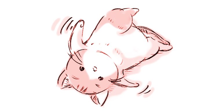 さいきんずっとバタバタしてておでかけがおおいんだけど🚗でかける前ニャンコさんのおなかみせごろーんがはげしかった……🐱
ちゃんとおるすばんできてえらい ちょーえらい 