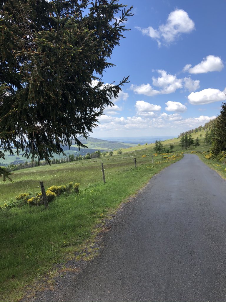 « On the Road …» #Nature #Flowers #travelphotography