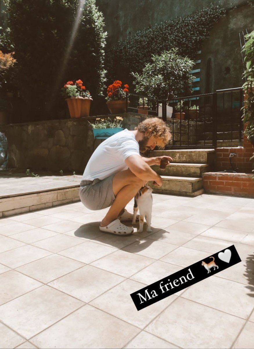 asfurbr's tweet photo. 📸| Furkan Via Story.

"Meu amigo 🐈🤍"

Eu estou vendo dois gatinhos na foto 😍

#FurkanPalalı #AsFurBr https://t.co/Fe3s9xhGgV