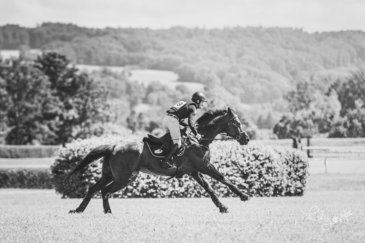 alogoanalysis's tweet photo. Congrats to the Swiss Eventing team๐จ๐ญ, selected for Tokyo Olympics 2021 and to one of our Alogo Riders Sam Watson who will represent Ireland there too ๐จ๐ฎ !
Eventing Swiss Team and Sam used Alogo Move Pro to get their horses ready for this major event! ๐
#AlogoMovePro https://t.co/NIMDEVldSv