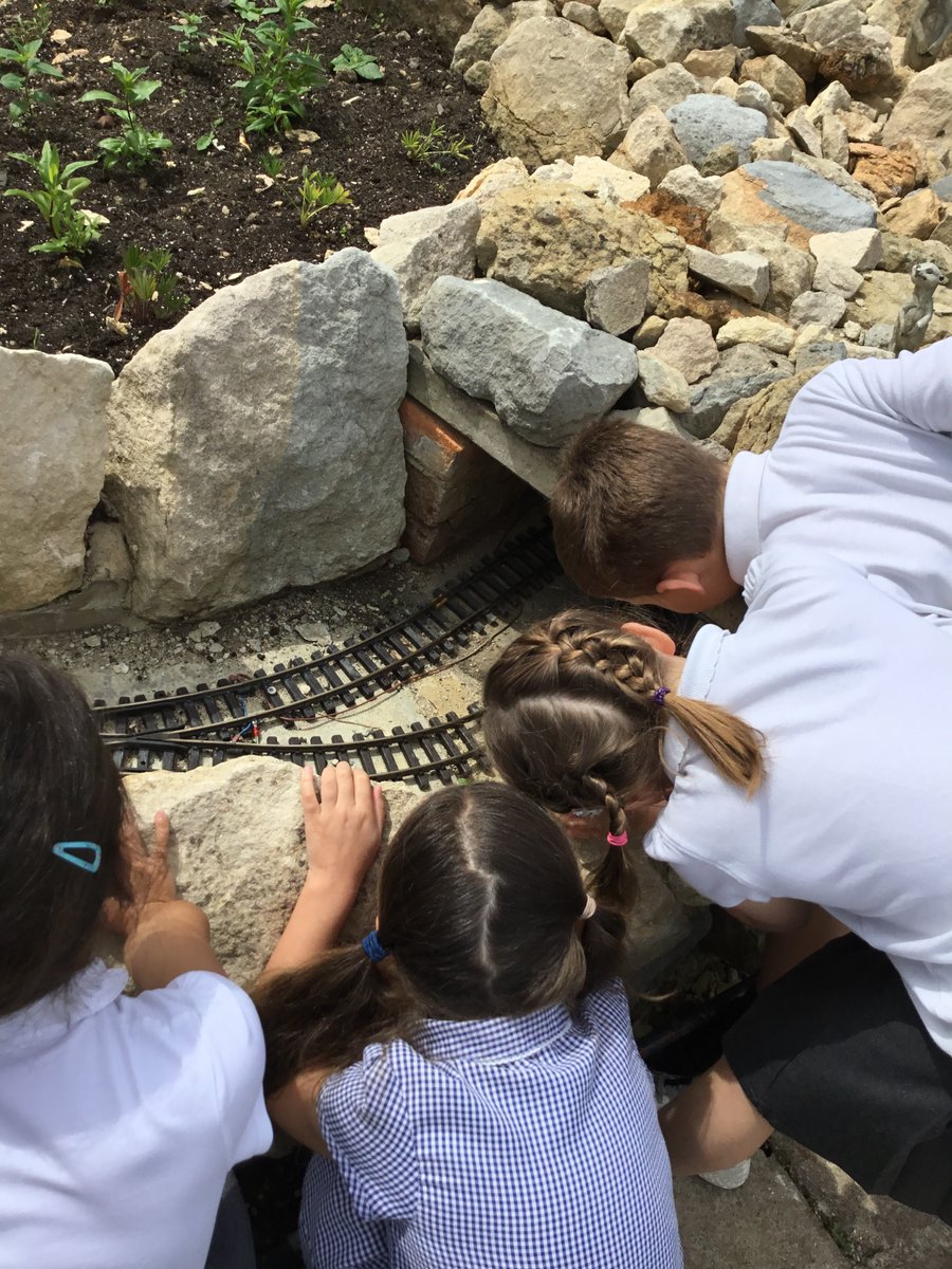 NeneValleyPuffins tweet media