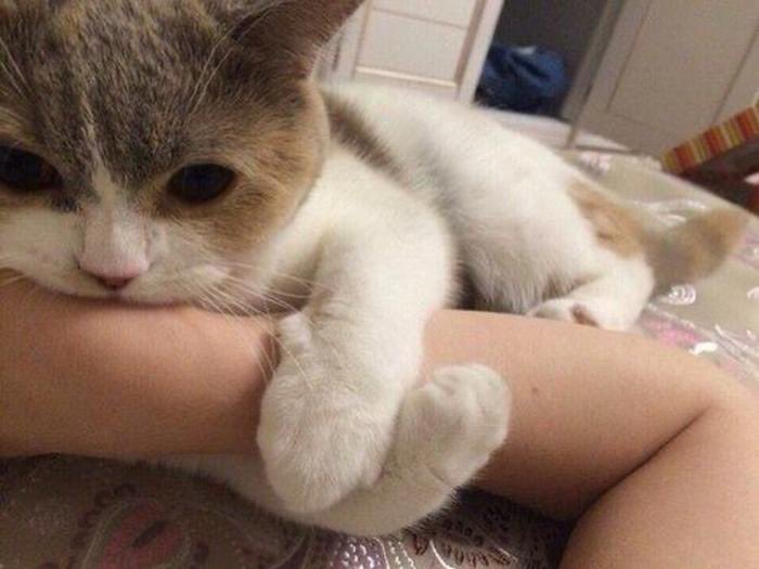 ✅ #กึมฮวัง