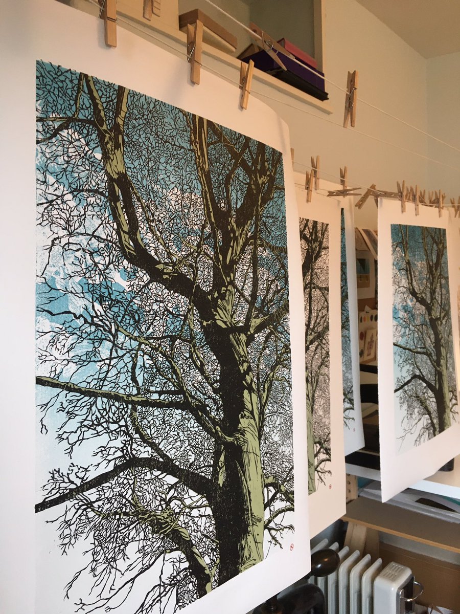 susenoble's tweet photo. Started printing these these #BigTree linocut prints. I don’t have much room on the drying rack so I’ll be doing them in batches - it’s going to take ages! 😬
#get_imprinted
#ukprintmakers
#saltburnprintmaker
#multiblockprint
#isolationprinting
#forestbathing
#shinrinyoku https://t.co/yZnIPcp0b9