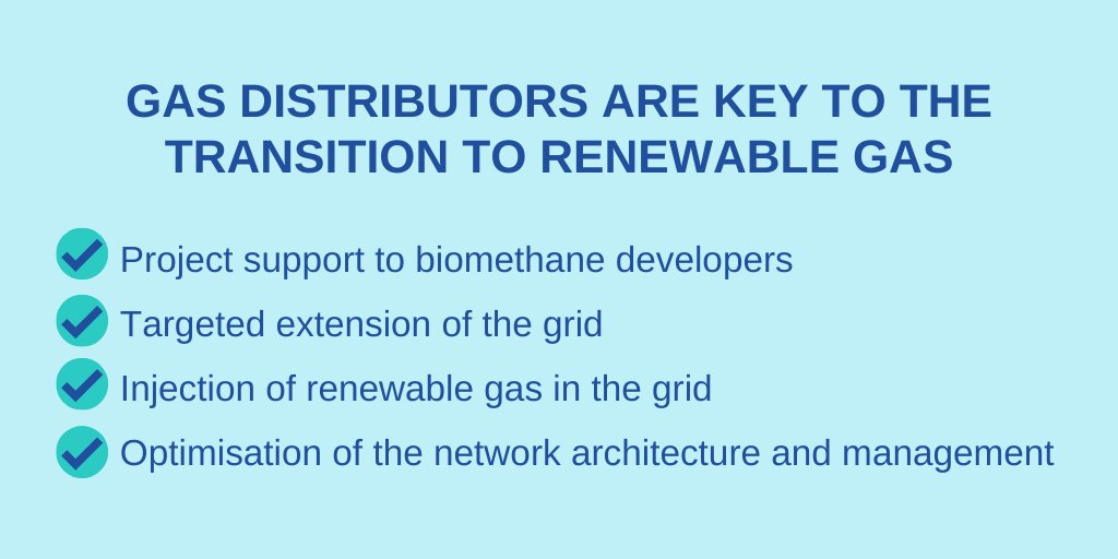 CEOs of #GD4S companies met yesterday to discuss the association’s future actions. They remain committed to raise the voice of #gas #DSOs in the 🇪🇺 #European sphere and to unlock the potential of #RenewableGases and #GasGrids 🍃