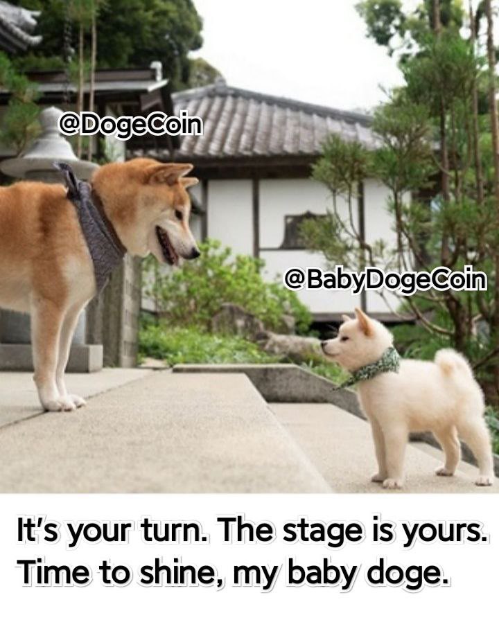 BABYDOGE2daMOON's tweet photo. @miakhalifa @babydoge $BABYDOGECOIN https://t.co/60t5oplRHQ