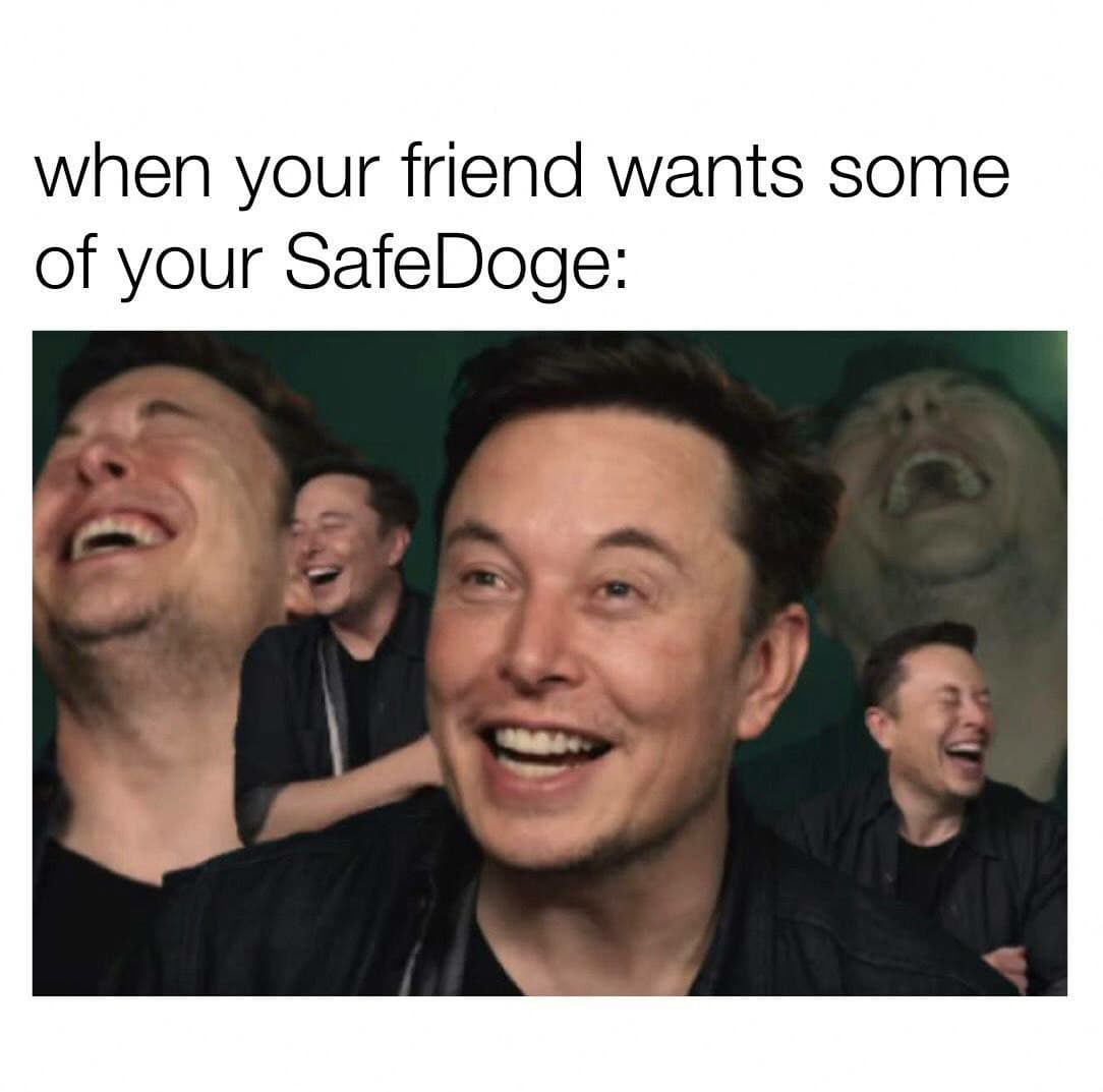 SafeDoge tweet media