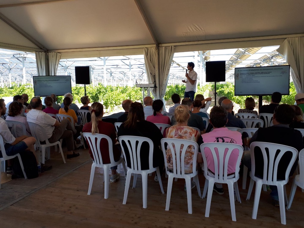 CultivonsDemain's tweet photo. Nicolas Saurin, Directeur de l' @INRAE_OCC_MPL Pech Rouge à Gruissan, présente les leviers d’adaptation et l'historique des travaux menés par l’INRAe à Pech Rouge sur vigne. 🍇 https://t.co/RK9KfDk6zt