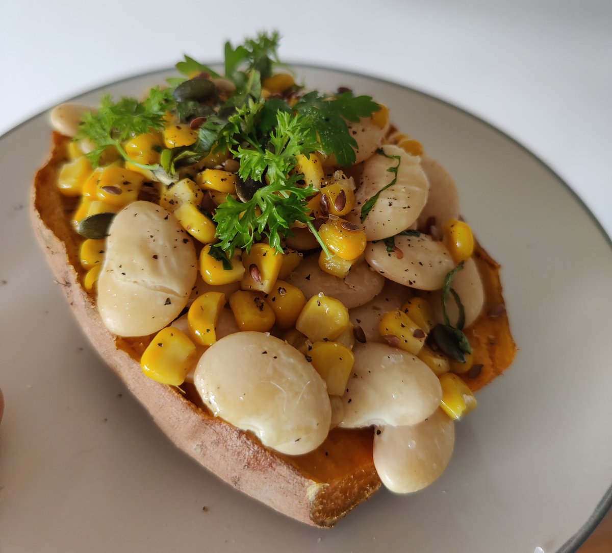 noisyearthling's tweet photo. My #vegan breakfast can kick any other breakfast's ass 🍠✨ https://t.co/251LrnTga8