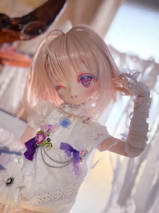 DDH-01のゆめかわたん 