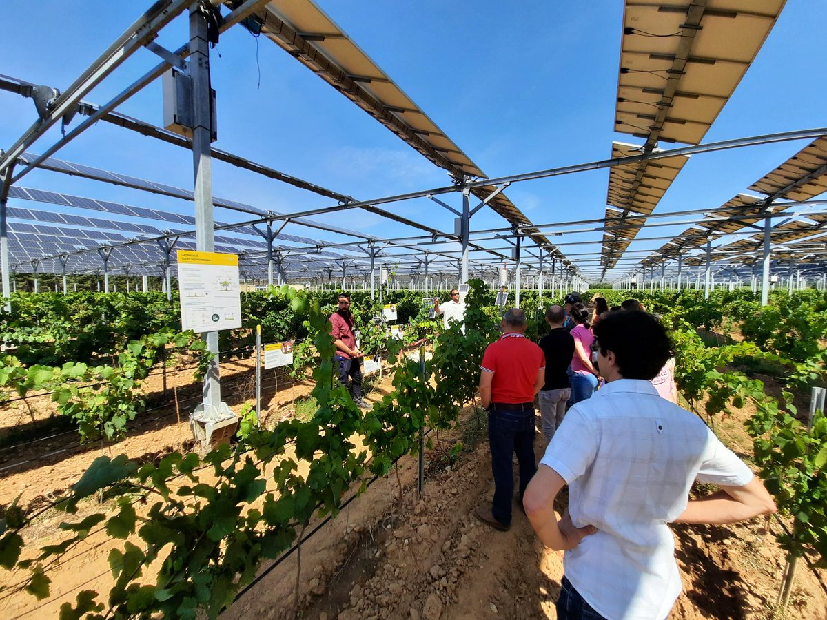 CultivonsDemain's tweet photo. Pierre Escudié, propriétaire exploitant du Domaine de Nidolères, accueille l’évènement #CultivonsDemain ! sur sa propriété : le premier démonstrateur mondial de la technologie Sun'Agri, en service depuis 2018. 🍇 https://t.co/74yN7jUPgu